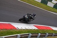 Lower Group Black Bikes
